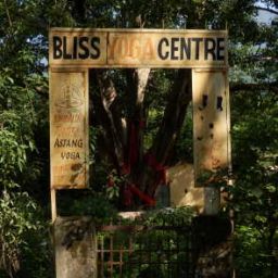 Bliss Yoga Centre im Jungel